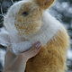 Голландский кролик Абрикос. Мягкие игрушки. Милые вещи от Аннушки. Ярмарка Мастеров.  Фото №4
