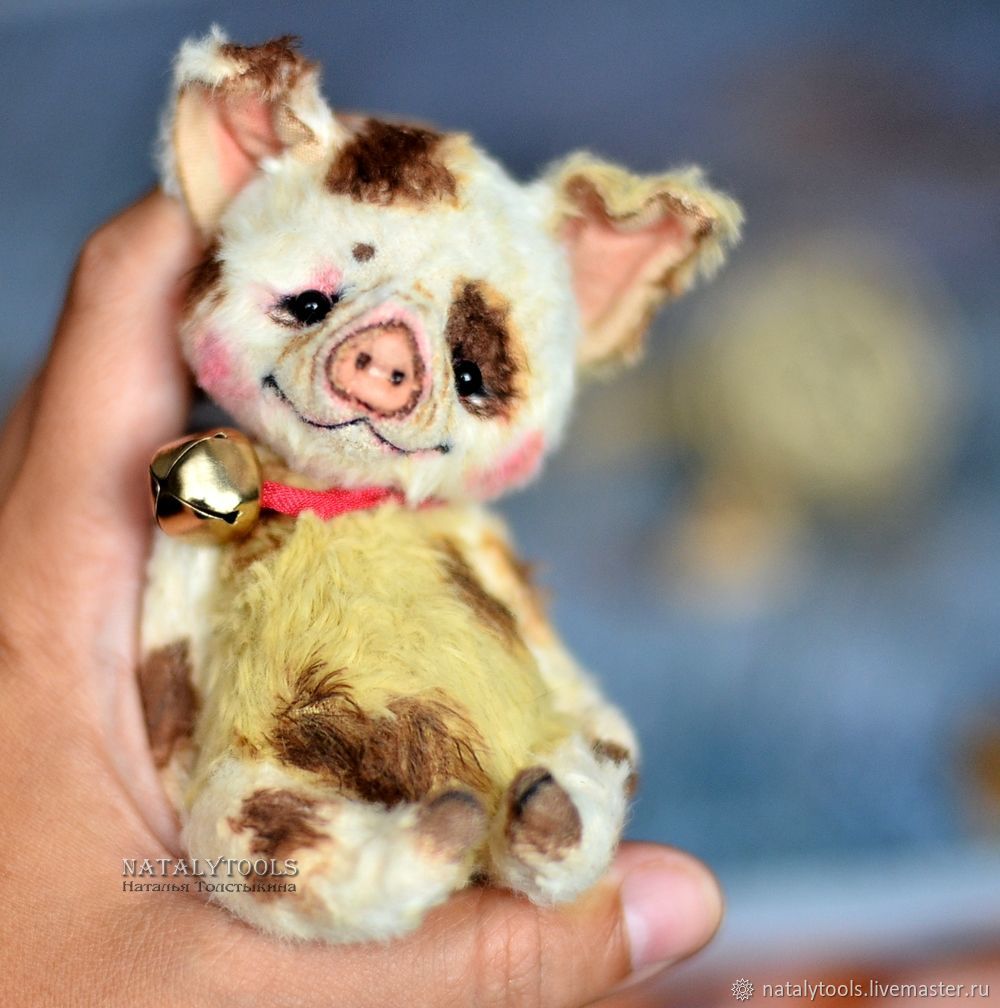 piggy teddy