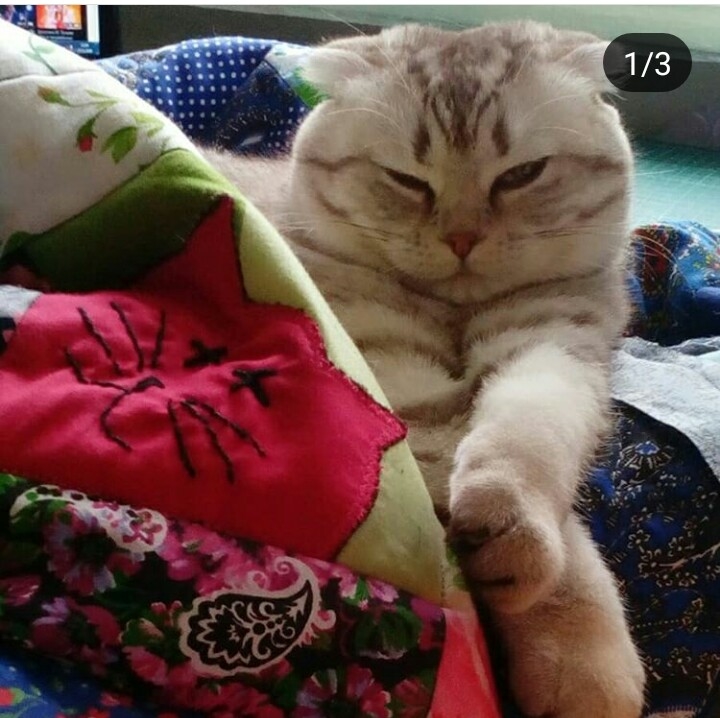..моя помошница)
