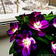 Flower-nightlight violets ' Fiona'. Nightlights. Elena Krasilnikova. My Livemaster. Фото №6