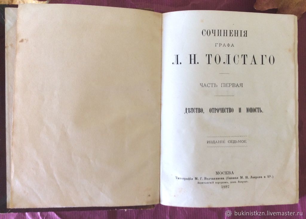 Толстой детство в сокращении