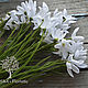 Подснежник 11449. Цветы искусственные. SM-Floristic (искусственные цветы) (sm-floristic). Интернет-магазин Ярмарка Мастеров.  Фото №2