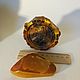 Заказать Dragón ámbar Báltico, talla. Amber shop (vazeikin). Ярмарка Мастеров. . Pictures Фото №3