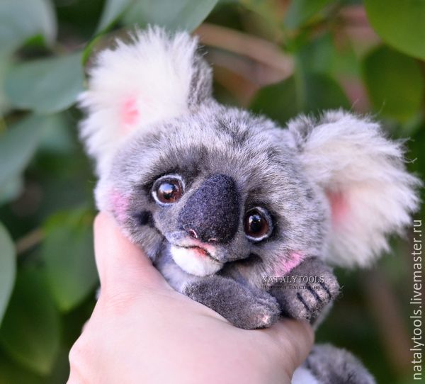Koala OOAK Artist teddy bear friend by Ntalytools, Teddy Toys, Kurgan,  Фото №1