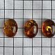 Set of cabochons 3 pieces, oval, 15h20 mm, natural amber. Cabochons. Амбер Бутик янтарь украшения. Online shopping on My Livemaster.  Фото №2