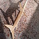 Pointer Swordfish. Line. Galib. My Livemaster. Фото №5