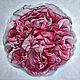Painting 'Pink Peony' oil on canvas 100h100cm, Pictures, Moscow,  Фото №1