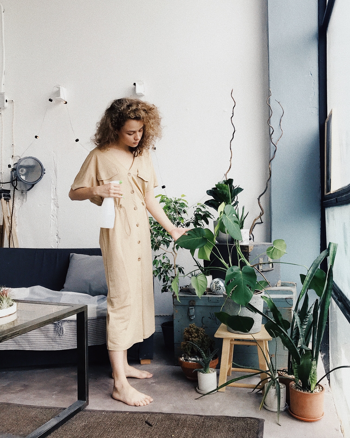 Озеленение интерьера в стиле urban jungle.