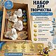 Набор для творчества «Львы», 4шт, Наборы для рисования, Ростов-на-Дону,  Фото №1
