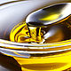 Натуральное подсолнечное масло, Флорариумы, Белокуриха,  Фото №1