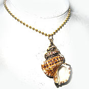 Украшения handmade. Livemaster - original item Pendant: Pendant with tiger shell gilded Terebridae. Handmade.