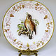 Painted porcelain. Plate 'Birds of England', Plates, Kaluga,  Фото №1