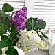 Сирень из холодного фарфора. Элементы интерьера. Николаева Ирина. Created flowers.. Ярмарка Мастеров.  Фото №5