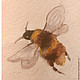 Акварель в старинном стиле "Пчелы и розы". Картины. рукоделочки. Интернет-магазин Ярмарка Мастеров.  Фото №2