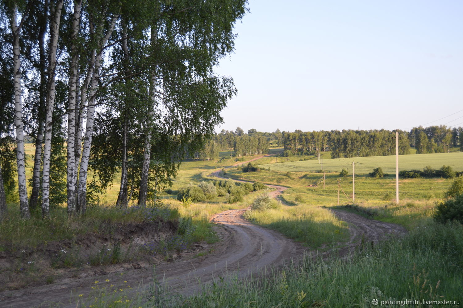 деревенский пейзаж. дорога ведет в деревню. просёлочная тропа. деревенские тропинки марий эл. летняя дорога.