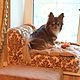 Sofá para perros, gatos Prestige orden en el Tamaño correcto, color, Lodge, Ekaterinburg,  Фото №1