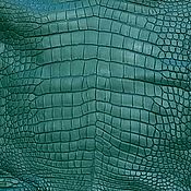 Материалы для творчества handmade. Livemaster - original item The skin of the Nile crocodile, fancy/Shoe dressing.. Handmade.