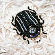 Brooch Beetle semen), rhinestones, beads. Brooches. IRNI. My Livemaster. Фото №4