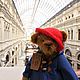  Paddy, Teddy Bears, Moscow,  Фото №1