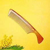 Comb from the Roman carelli