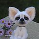 Copyright felted toy Chihuahua Butterscotch. Felted Toy. KravetsTatyana. Online shopping on My Livemaster.  Фото №2