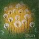 Dandelions, Pictures, Moscow,  Фото №1