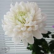 Цветы и флористика handmade. Livemaster - original item Chrysanthemum polymer clay. Handmade.