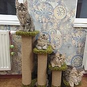 Зоотовары handmade. Livemaster - original item Ladder-scratching post available in size. Suitable for dogs. buy. Handmade.