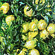 Painting Lemons, Lemon Tree, Kitchen painting, fruit, Citrus. Pictures. myfoxyart (MyFoxyArt). Online shopping on My Livemaster.  Фото №2
