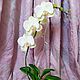 "Белая орхидея" из холодного фарфора (полимерной глины), Композиции, Калининград,  Фото №1