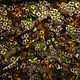 Деворе шелк с Цветами цвет  зеленый коричневый Италия, Ткани, Москва,  Фото №1
