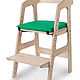 Комплект: растущий стул ALPIKA-BRAND Egoza и подушка зеленая, Мебель для детской, Нижний Новгород,  Фото №1