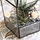 The Floriana. Florarium with aloe and Echeveria. The Floriana tower. Succulents. Florariums. Glass Flowers. My Livemaster. Фото №4