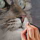 Заказать  портрет кота по фото на заказ. Мария Михина. Ярмарка Мастеров. . Картины Фото №3