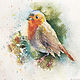 Watercolor painting. Birds. Robin. Pictures. ArtShipilina. Online shopping on My Livemaster.  Фото №2