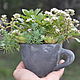 Taza de maceta de hormigón con bandeja para flores y decoración. Pots. Decor concrete Azov Garden. Ярмарка Мастеров.  Фото №4