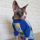 Clothing for cats Sweatshirt 'Mickey Mouse', Pet clothes, Biisk,  Фото №1