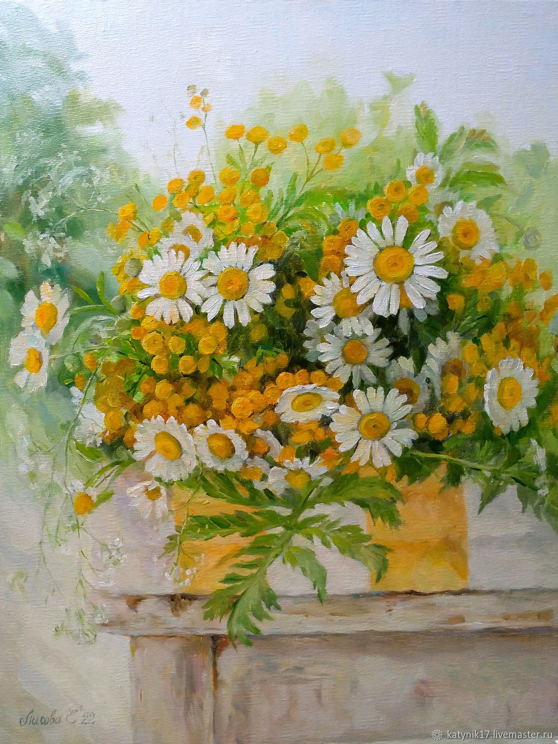  Daisies with tansy, Pictures, Cheboksary,  Фото №1