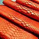 Python skin in a striking red color, fancy dressing, Leather, St. Petersburg,  Фото №1