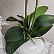 Композиция с орхидеями. Элементы интерьера. Natti's decor & presents. Интернет-магазин Ярмарка Мастеров.  Фото №2