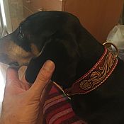 Зоотовары handmade. Livemaster - original item Collar for dog genuine leather, leather collar for dogs. Handmade.