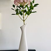 Азиатские лютики -розы весны (ранункулюсы)