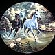 Plates 'Horses in the wild', Furstenberg, Germany, Vintage interior, Moscow,  Фото №1