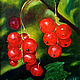 Red currant, Pictures, Voronezh,  Фото №1