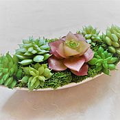 Цветы и флористика handmade. Livemaster - original item Mini composition of artificial succulents and moss. Handmade.
