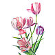 Букет розовых тюльпанов, Картины, Санкт-Петербург,  Фото №1
