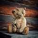  Old bear, Teddy Bears, Karpinsk,  Фото №1