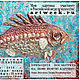 Order Picture. Fish prickly. Lidiamama. Livemaster. . Pictures Фото №3