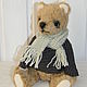 Teddy bear 25 cm, Teddy Bears, Moscow,  Фото №1