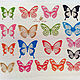 Butterfly translucent. Color mix, 18 pieces, Interior elements, St. Petersburg,  Фото №1